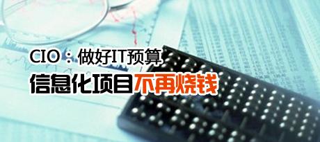 CIO������ITԤ�� ��Ϣ����Ŀ������Ǯ